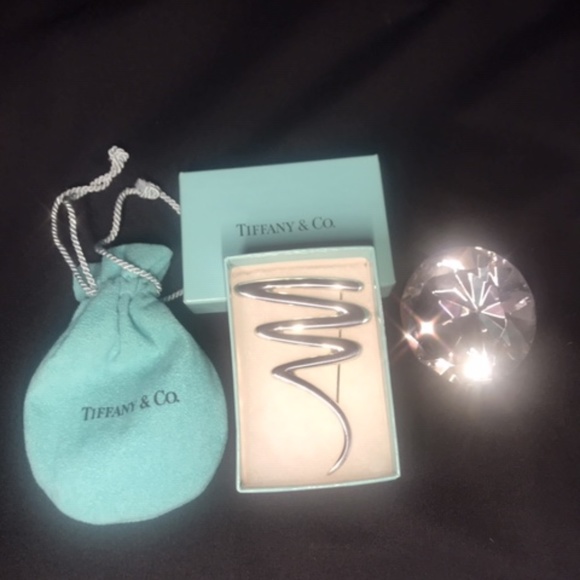 Tiffany & Co. Jewelry - Tiffany & Co. Paloma Picasso Scribble Pin - NEW